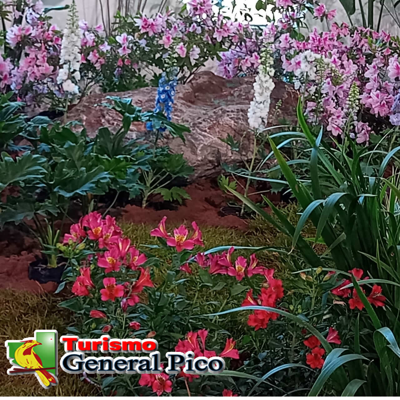 Fiesta de la flor Escobar 2022